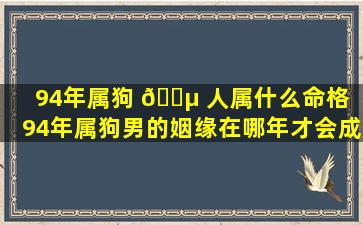 94年属狗 🐵 人属什么命格「94年属狗男的姻缘在哪年才会成功」